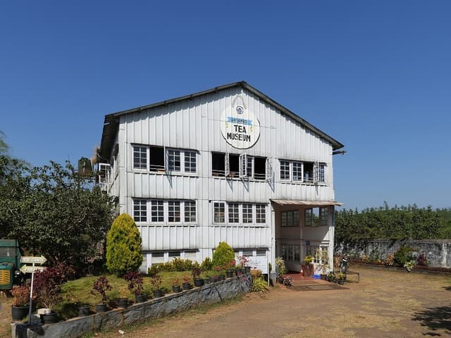 Tea Museum