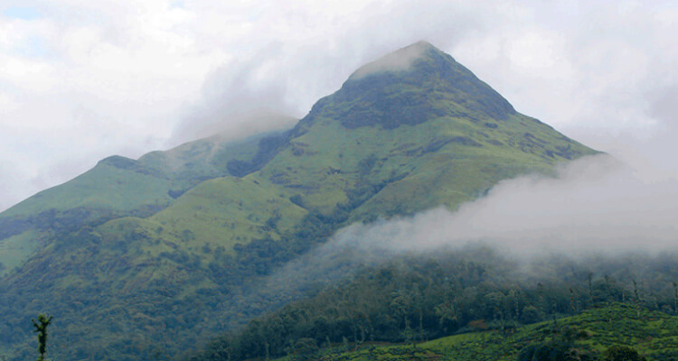 Neelimala Viewpoint