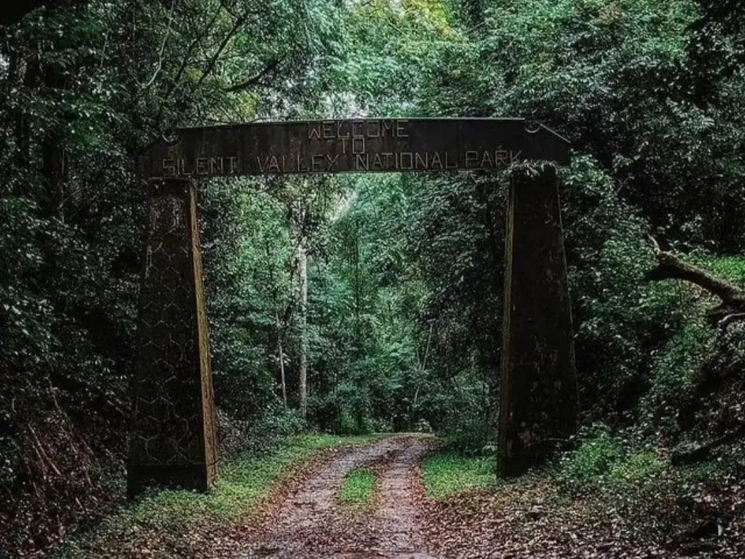 Silent Valley National Park