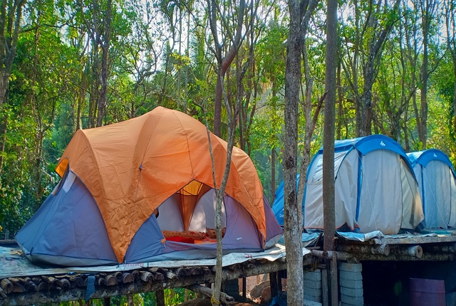 Wayanad Adventure Camp